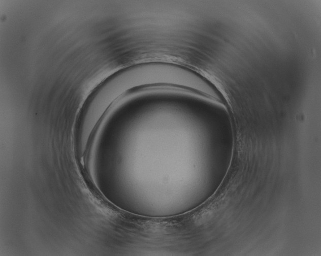 X0000089660987200707121154