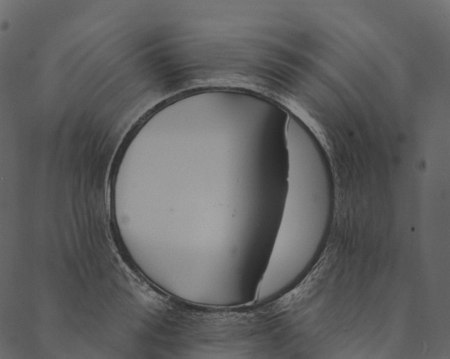 X0000089660988200707121154