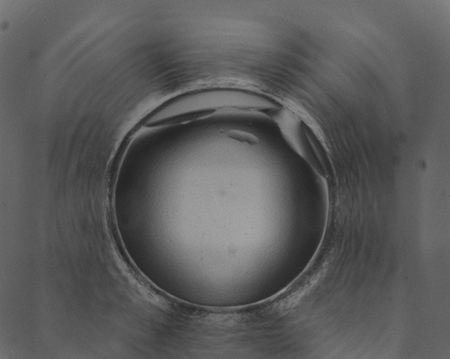 X0000089660989200707121154