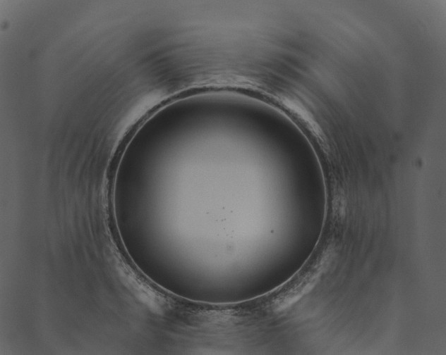 X0000089660990200707121154