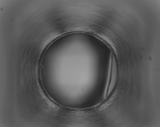 X0000089660991200707121154