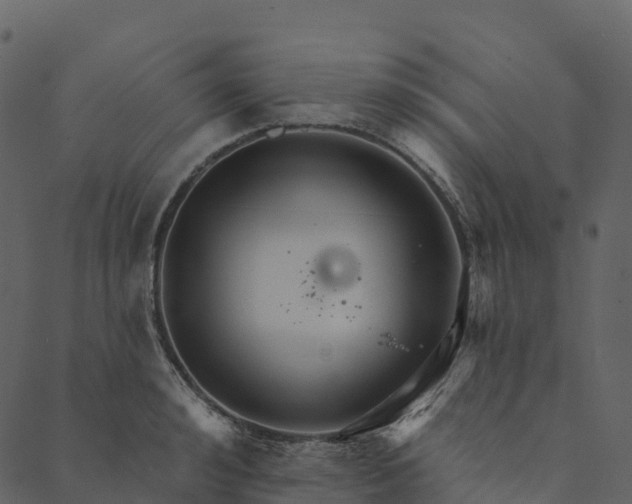 X0000089660992200707121154