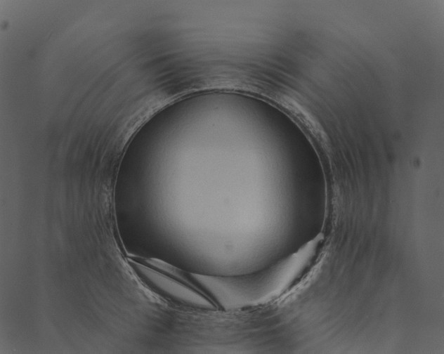 X0000089660993200707121154