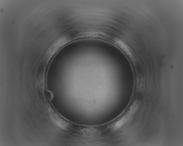 X0000089660994200707121154