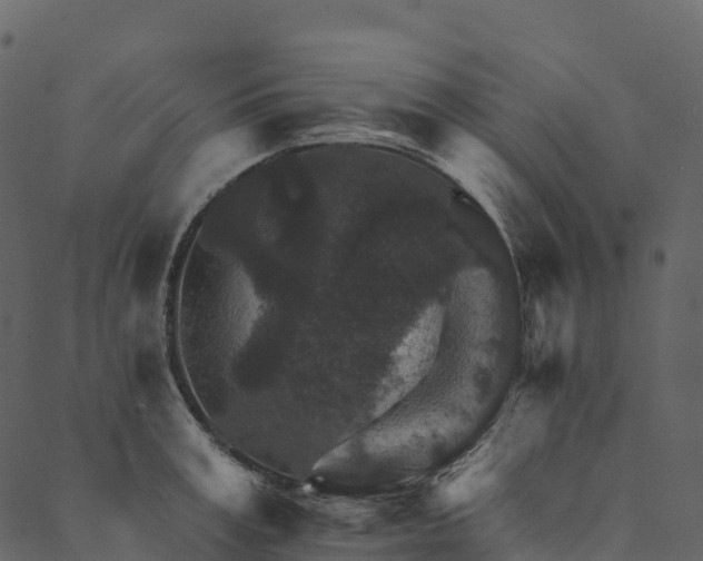 X0000089660995200707121154