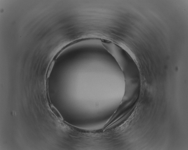 X0000089660996200707121154