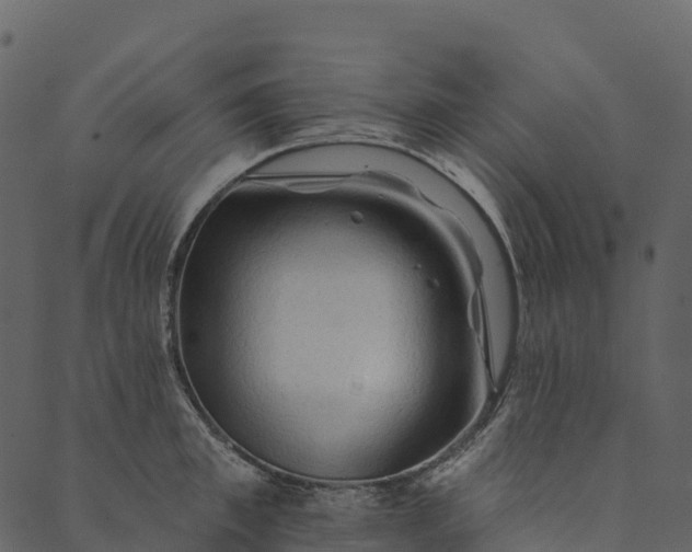 X0000089660997200707121154