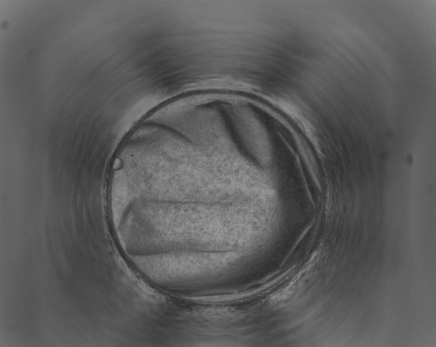 X0000089660998200707121154