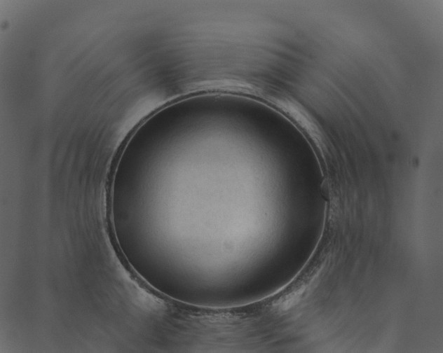 X0000089660999200707121154