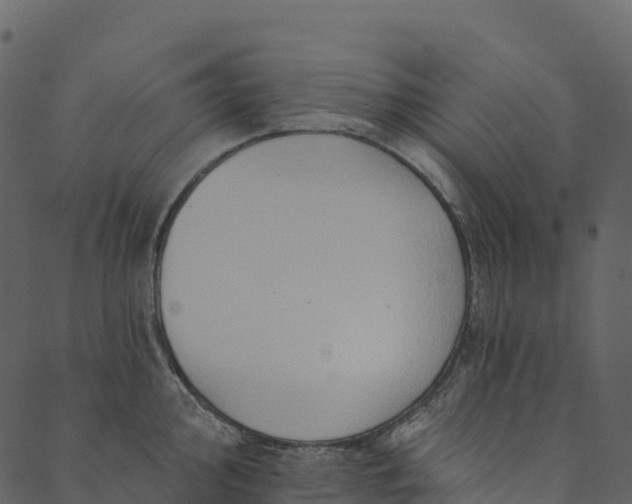 X0000089661000200707121154