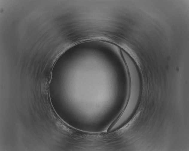 X0000089661001200707121154