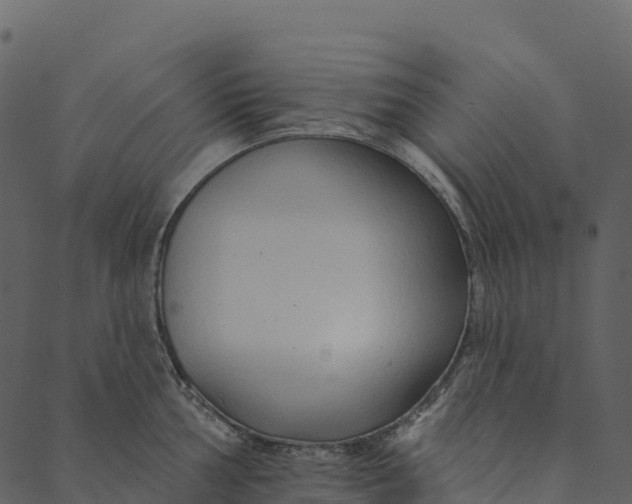 X0000089661002200707121154