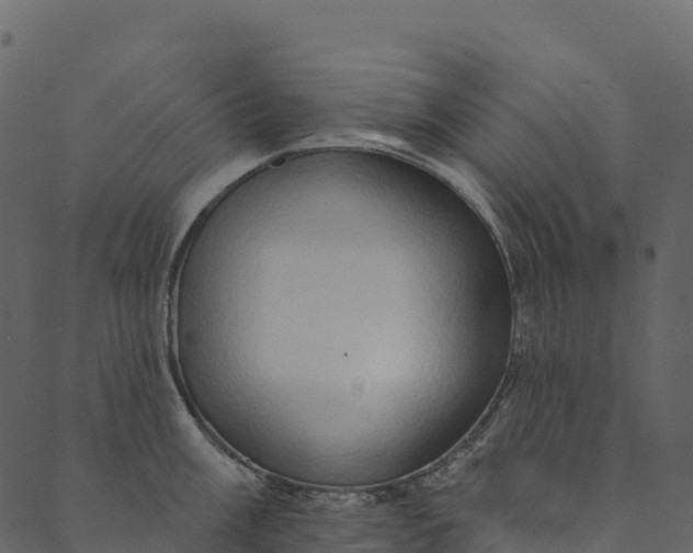 X0000089661003200707121154