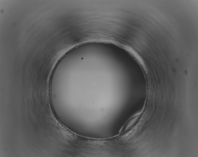 X0000089661004200707121154