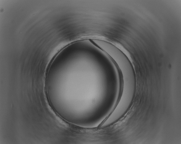 X0000089661005200707121154