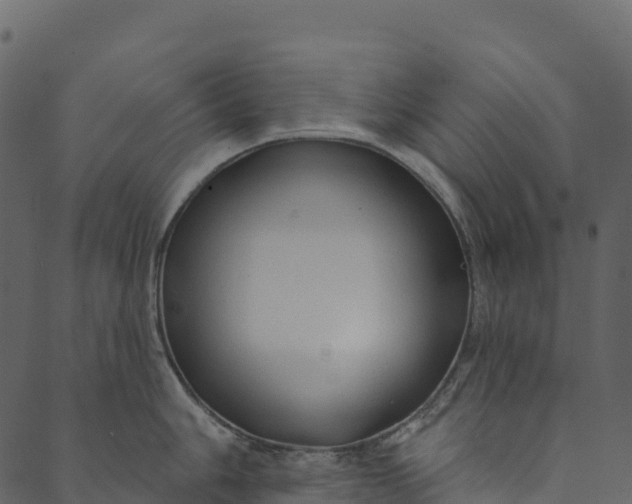 X0000089661006200707121154