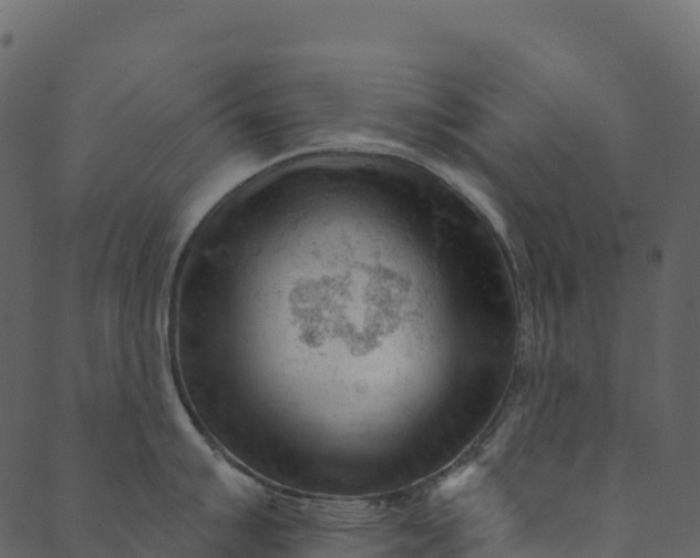 X0000089661007200707121154