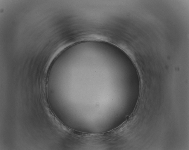 X0000089661008200707121154