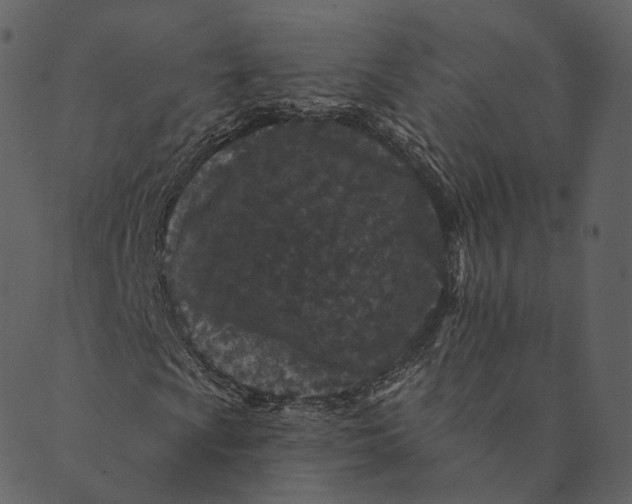 X0000089661009200707121153