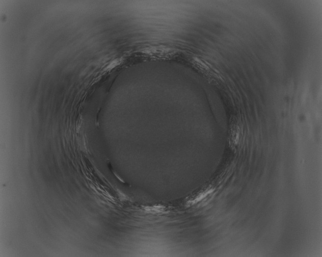 X0000089661010200707121153