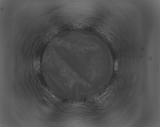 X0000089661011200707121153