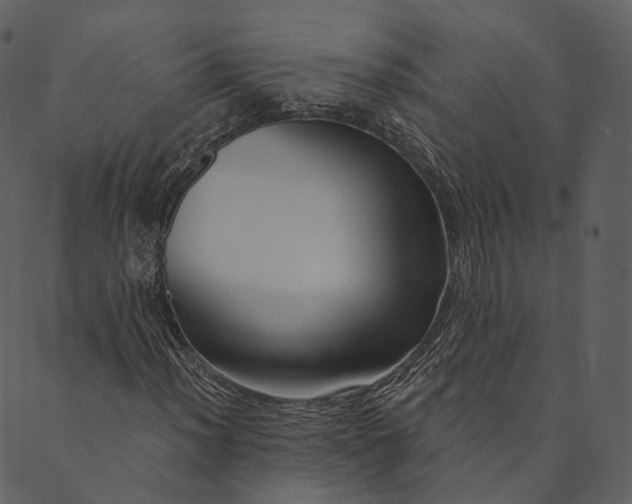 X0000089661012200707121153