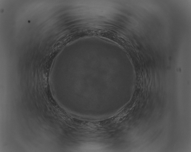 X0000089661013200707121153