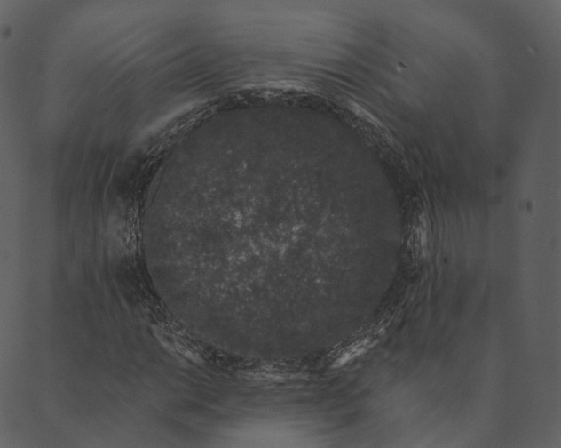 X0000089661014200707121153