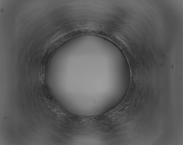 X0000089661015200707121153