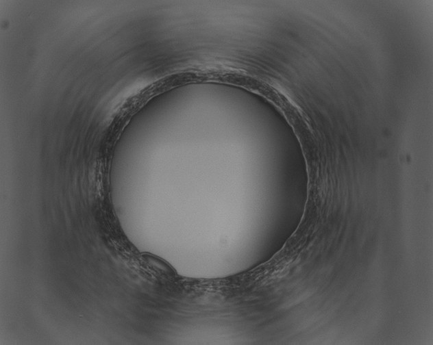 X0000089661016200707121153