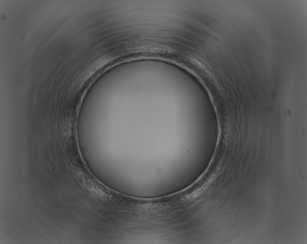 X0000089661017200707121153