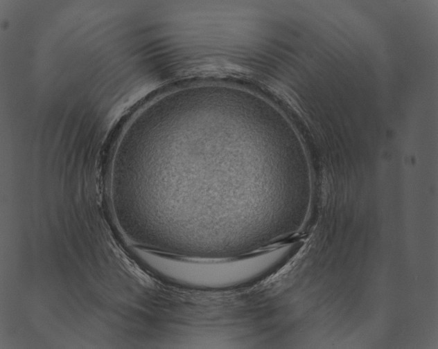 X0000089661018200707121153