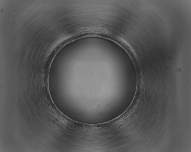 X0000089661019200707121153