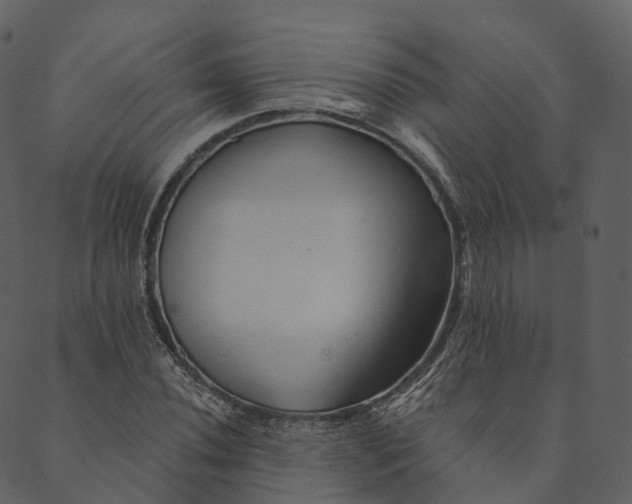 X0000089661020200707121153