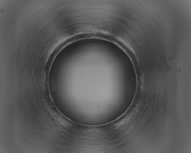 X0000089661021200707121153