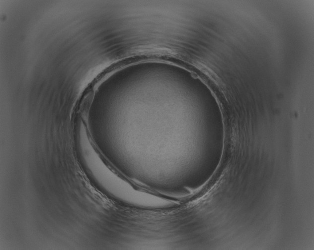 X0000089661022200707121153