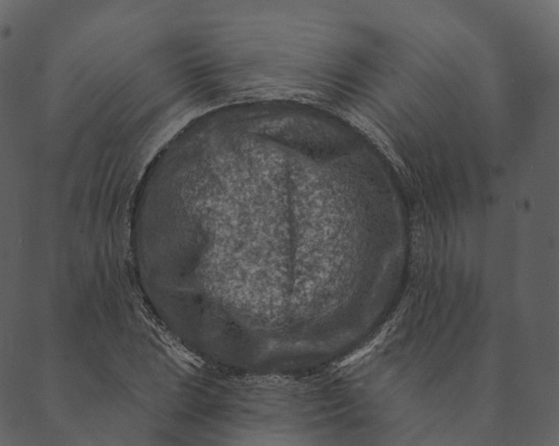 X0000089661023200707121153