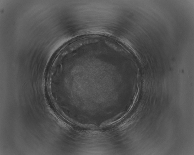 X0000089661024200707121153