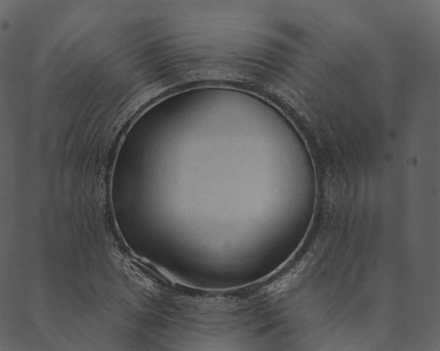 X0000089661025200707121153