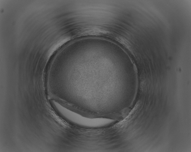 X0000089661026200707121153