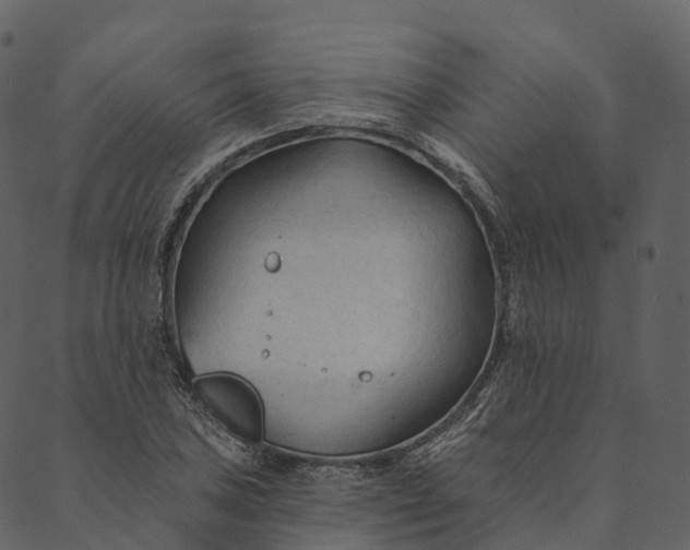 X0000089661027200707121153