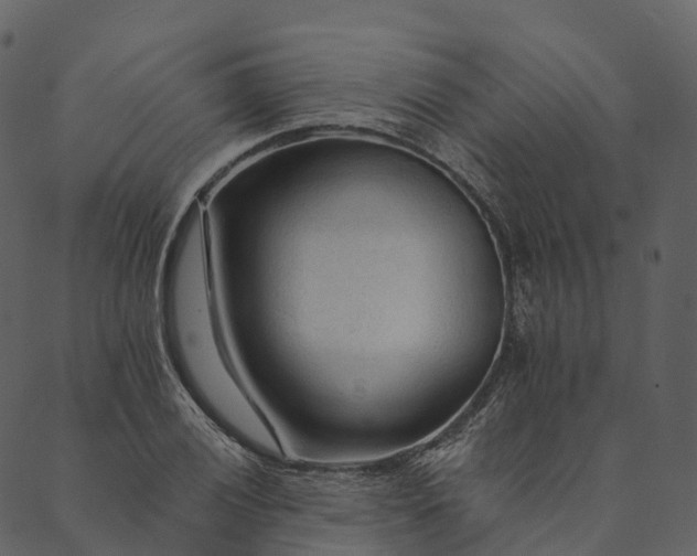 X0000089661028200707121153