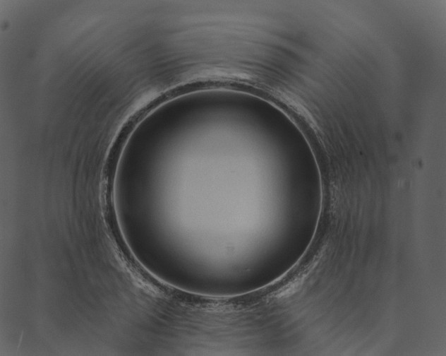 X0000089661029200707121153