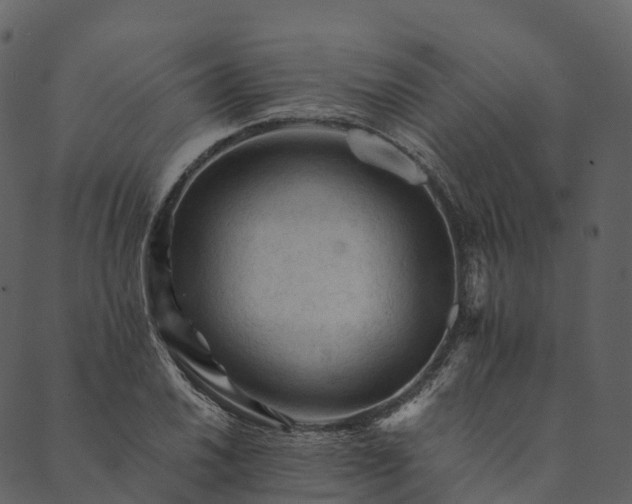 X0000089661030200707121154