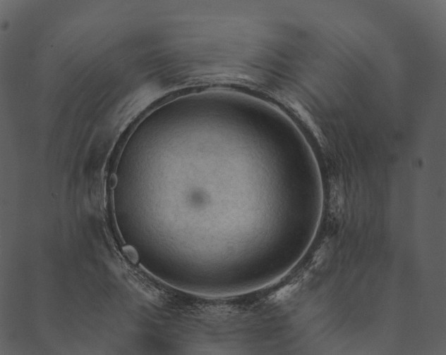 X0000089661031200707121154