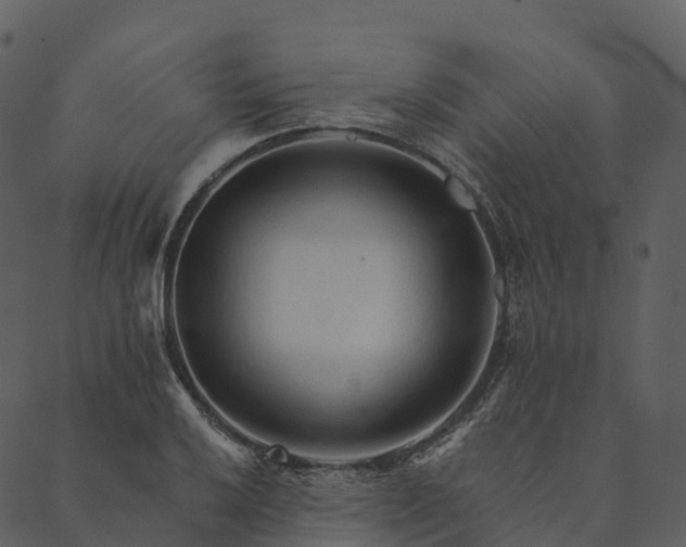 X0000089661032200707121154