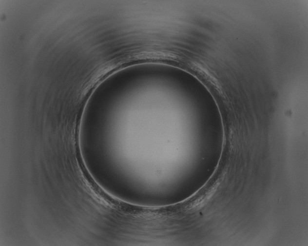 X0000089661033200707121154