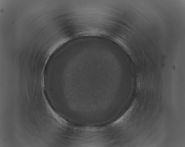 X0000089661034200707121154