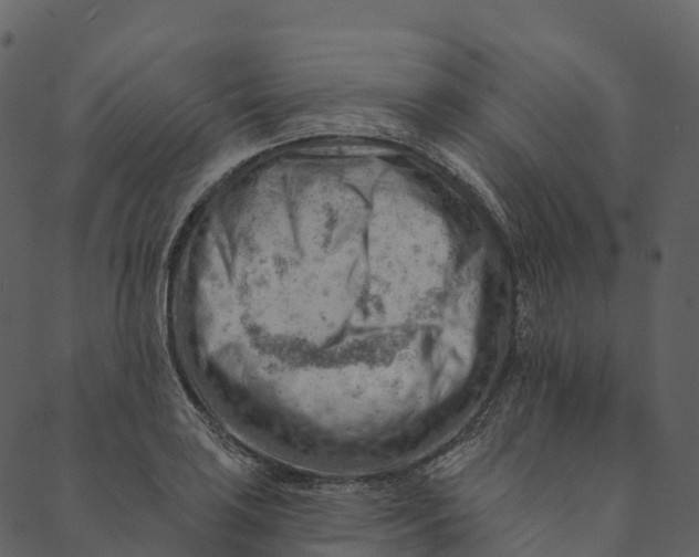 X0000089661035200707121154