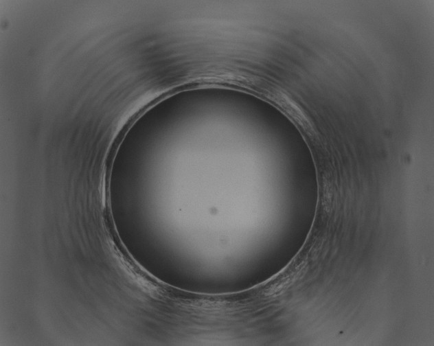 X0000089661036200707121154